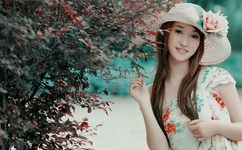 与晋长安电视剧在线免费观看